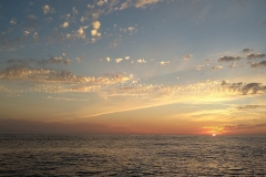 zon