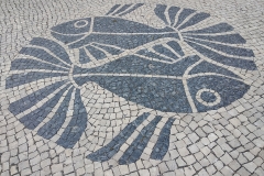vis